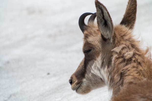 ... stört er sie nicht. (Foto: Werner Pluta/Golem.de)