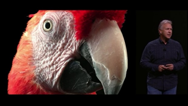 Ein mit der Kamera des neuen iPhone 6S aufgenommenes Foto (Bild: Apple/Screenshot: Golem.de)