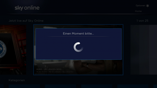 Solche Wartedialoge erscheinen immer mal wieder. (Screenshot: Golem.de)