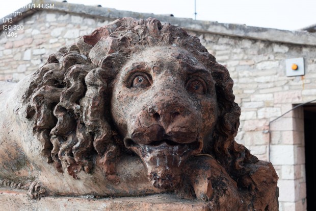 Canon 5DS (Bild: Andreas Donath)