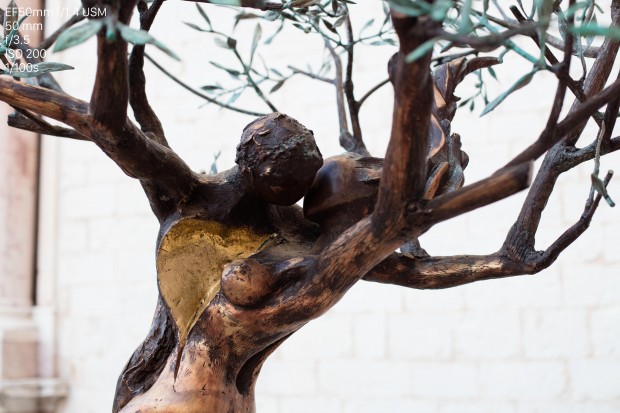 Canon 5DS (Bild: Andreas Donath)