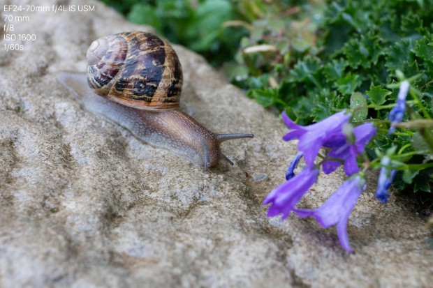 Canon 5DS (Bild: Andreas Donath)