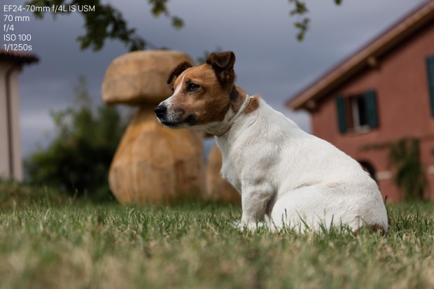 Canon 5DS (Bild: Andreas Donath)