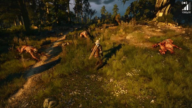 Geforce-Now-Screenshot von The Witcher 3 (Bild: Golem.de)