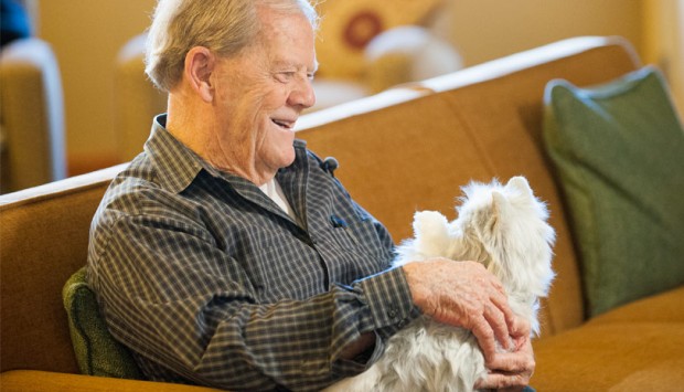 Companion Pets (Bild: Hasbro)