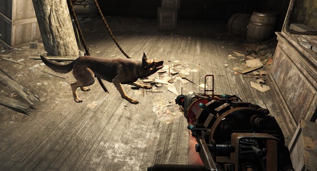 Hier fehlt er beispielsweise beim Hund ... (Screenshot: Golem.de)