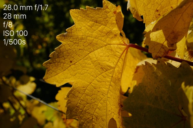 Leica Q (Bild: Andreas Donath)