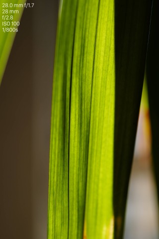 Leica Q (Bild: Andreas Donath)