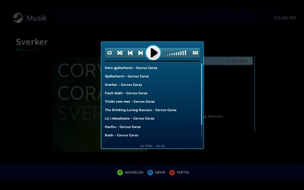 Der Player ist simpel, aber funktioal. (Screenshot: Golem.de)
