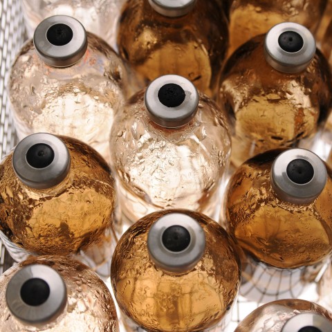 Die Organismen sind an harte Bedingungen angepasst ... (Foto: DLR/CC-BY-SA 3.0)