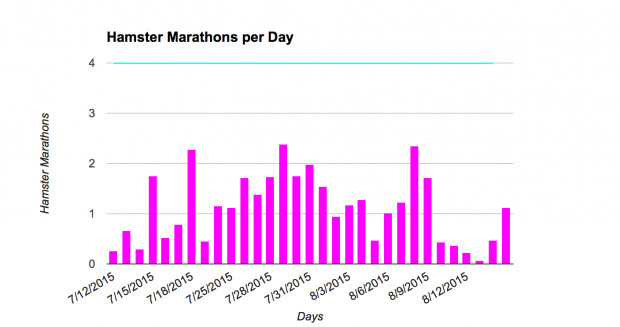 Die Roborowskis legen regelmäßig mehr als zwei Hamstermarathons pro Tag zurück. (Diagramm: Michelle Leonhart)