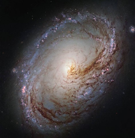 Und noch ein spektakuläres Foto von Hubble: Blick in die Spiralgalaxis Messier 96 im Sternbild Löwe (Bild:  Esa/Hubble & Nasa, Legus Team, R. Gendler)