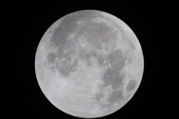 Faszinierendes gab es aber auch in direkter Nachbarschaft: Im September war der Mond der Erde besonders nahe und erschien deshalb sehr groß. (Bild: Werner Pluta/Golem.de)