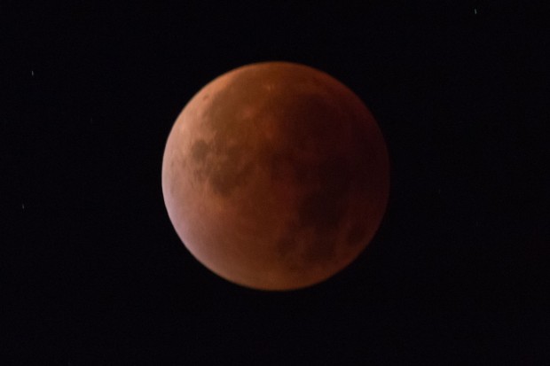 Während der Mond voll und groß war, kam es zu einer Mondfinsternis. Der Mond färbte sich rot. (Bild: Werner Pluta/Golem.de)