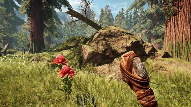 Far Cry Primal (Screenshot: Marc Sauter/Golem.de)