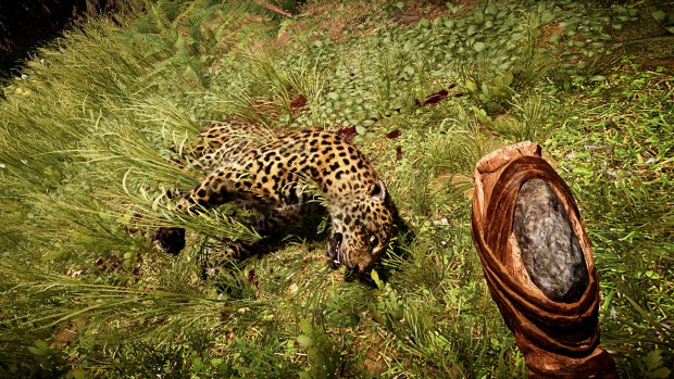 Far Cry Primal (Screenshot: Marc Sauter/Golem.de)