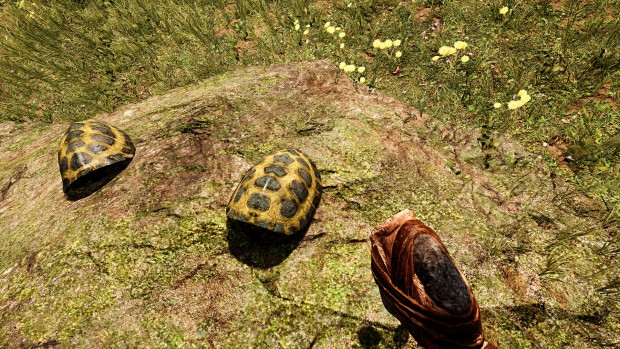 Far Cry Primal (Screenshot: Marc Sauter/Golem.de)