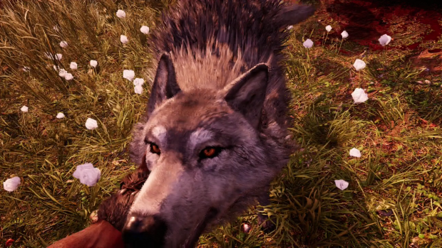 Einen gezähmten Wolf können wir auch streicheln. (Screenshot: Golem.de)