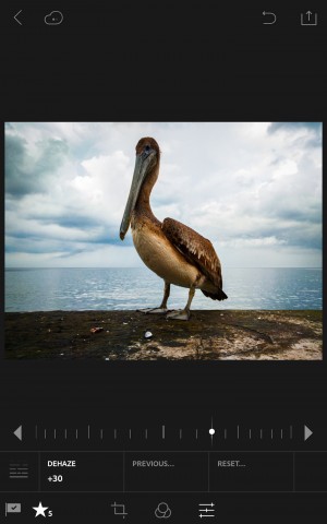 Lightroom 2.0 für Android (Bild: Adobe)