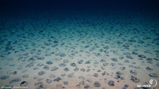 Manganknollen auf dem Meeresgrund sind ein begehrter Rohstoff aus der Tiefsee. (Foto: Matthias Häckel/Geomar)