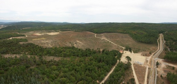 2007 war das Gel&auml;nde gerodet. (Foto: AIF-VDC)