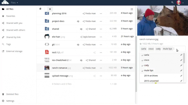 Schlagworte f&uuml;r Dateien (Bild:Owncloud.org)