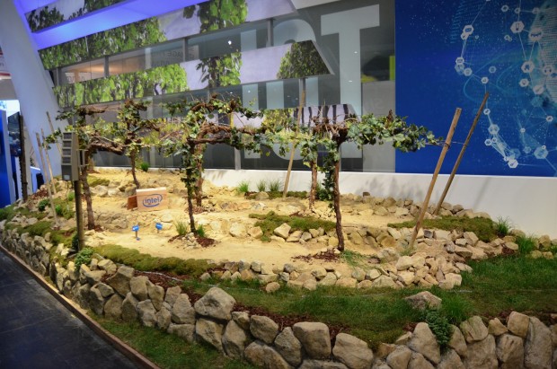 Intels kleiner Weinberg  (Bild: Nico Ernst)