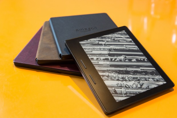 Für den Kindle Oasis gibt es Akkupacks mit drei verschiedenen Farben für den Displayschutz. (Bild: Martin Wolf/Golem.de)