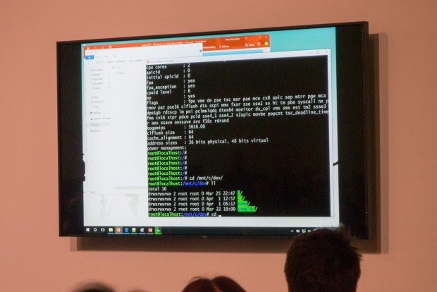 Zunächst wird erst einmal das Windows-Dateisystem gemountet. (Foto: Andreas Sebayang/Golem.de)