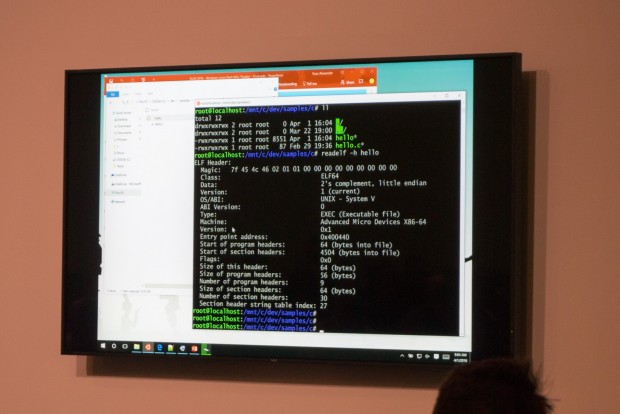 ELF64-Binaries können gestartet werden. (Foto: Andreas Sebayang/Golem.de)