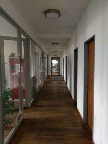 Ein mit dem HTC 10 aufgenommenes Foto (Bild: Tobias Költzsch/Golem.de)