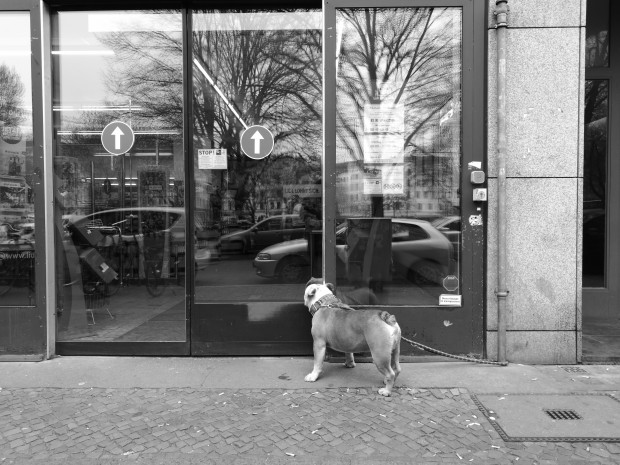 Ein mit dem monochromen Sensor des P9 aufgenommenes Foto (Bild: Tobias Költzsch/Golem.de)