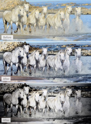 LandscapePro  (Bild: Anthropics) 