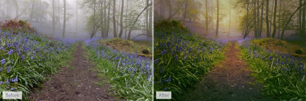 LandscapePro  (Bild: Anthropics) 