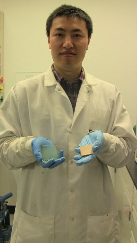 Vorher und nachher: Das Lignin wird aus dem Holz gel&ouml;st und dann durch ein Kunstharz ersetzt. (Foto: Maryland NanoCenter)