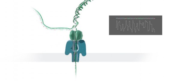 Mit Hilfe von Nanoporen identifiziert es DNA. (Bild: Oxford Nanopore)