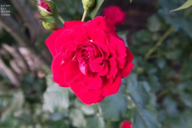 Testbild Canon Powershot G7 X II (Bild: Andreas Donath)