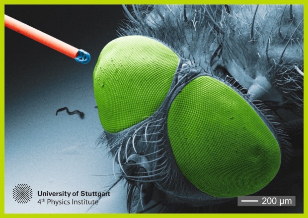 3D-gedrucktes Objektiv auf einer optischen Faser neben einer Fliege. (Bild: Timo Gissibl/ Uni Stuttgart)