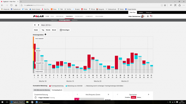 Bei Polar Flow verbindet die Erholungskurve Trainings (rot) und Aktivitäten (blau) sinnvoll. (Screenshot: Golem.de)