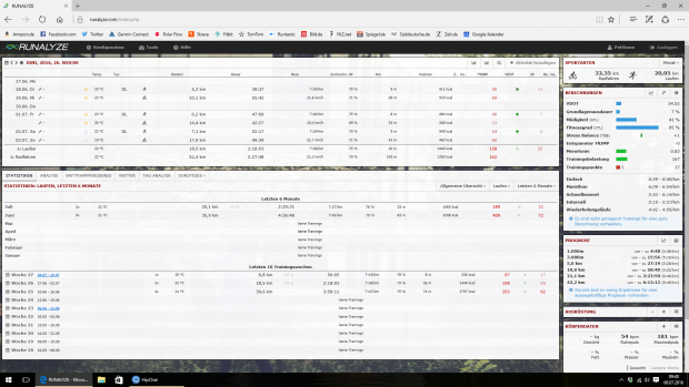 Das Opensource-Projekt Runalyze erfordert eine gewisse Einarbeitung. (Screenshot: Golem.de)