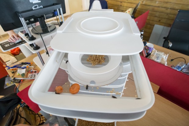 Nicht alle Projekte haben etwas mit Elektrotechnik zu tun: Mit dem Hive von Livin Farms können Nutzer zu Hause Mehlwürmer für den Verzehr züchten. (Bild: Tobias Költzsch/Golem.de)