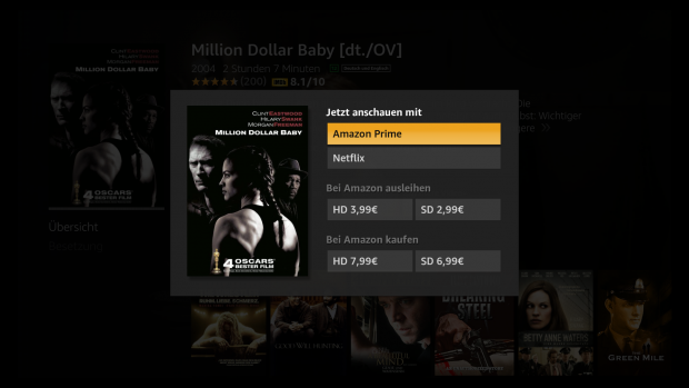 ... zeigt die Netflix-Verf&uuml;gbarkeit.  (Screenshot: Golem.de)