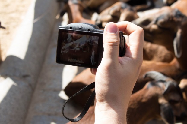 Die Powershot bietet nur eine enttäuschend geringe Displayauflösung. (Bild: Martin Wolf/Golem.de)