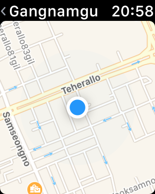 Die Anzeige von Kartenmaterial ist wie gehabt behäbig. (Screenshot: Golem.de)