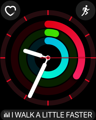 Dieses Zifferblatt ist vor allem für Aktivitäten interessant. (Screenshot: Golem.de)