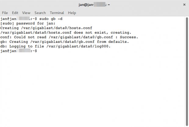 Start von Gigablast über die Linux-Kommandozeile. (Screenshot: Golem.de/Jan Weisensee)