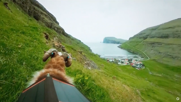 Sheep View (Bild: Google)