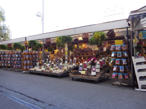 Ein mit dem Hasselblad-Modul aufgenommenes Bild mit kleinstem Zoom-Faktor (Bild: Tobias K&ouml;ltzsch/Golem.de)