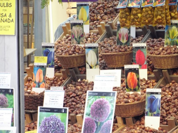 Die gleiche Szene mit zehnfachem Zoom aufgenommen (Bild: Tobias K&ouml;ltzsch/Golem.de)