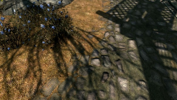 Skyrim Special Edition (Screenshot: Marc Sauter/Golem.de)